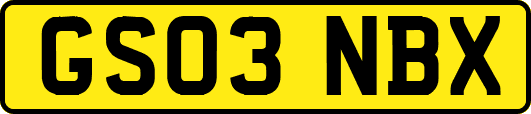 GS03NBX