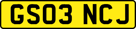 GS03NCJ