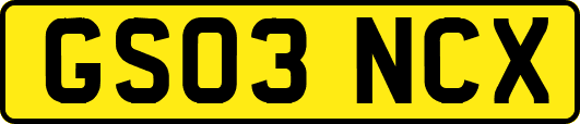 GS03NCX