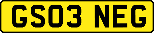 GS03NEG