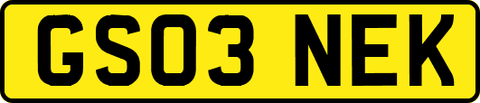 GS03NEK