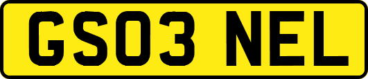 GS03NEL