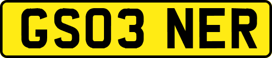 GS03NER