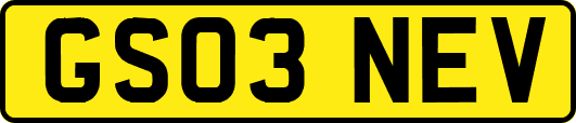 GS03NEV