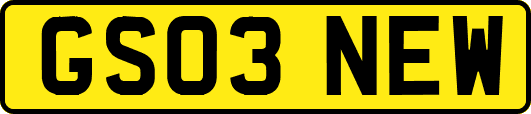 GS03NEW