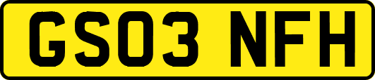 GS03NFH