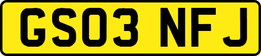 GS03NFJ