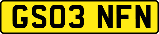GS03NFN