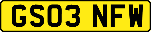 GS03NFW