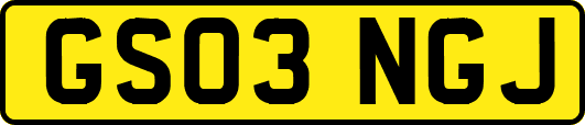 GS03NGJ