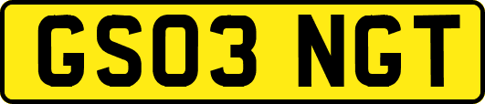 GS03NGT