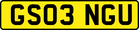 GS03NGU