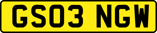 GS03NGW