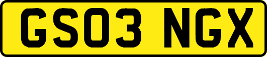 GS03NGX
