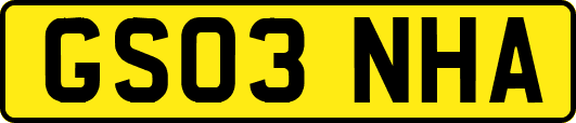 GS03NHA