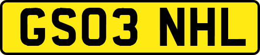 GS03NHL