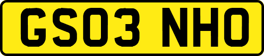 GS03NHO