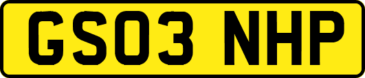 GS03NHP