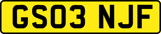 GS03NJF