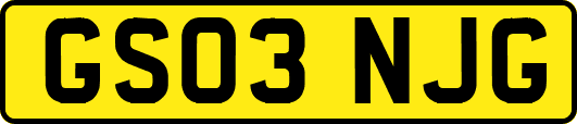 GS03NJG