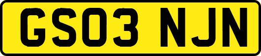 GS03NJN