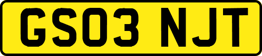 GS03NJT