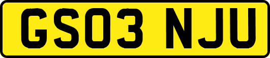 GS03NJU