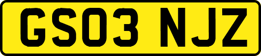 GS03NJZ