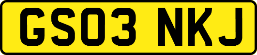 GS03NKJ