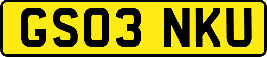 GS03NKU