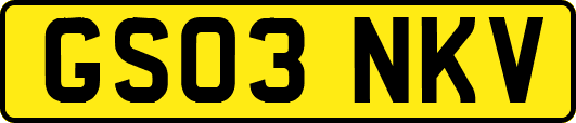 GS03NKV