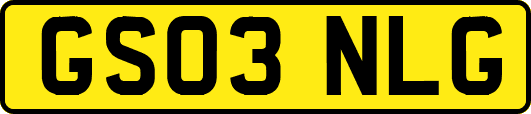 GS03NLG