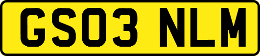 GS03NLM