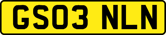 GS03NLN