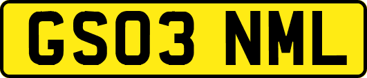 GS03NML