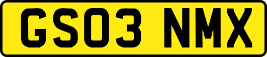 GS03NMX