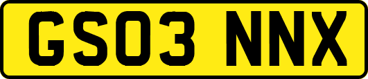 GS03NNX