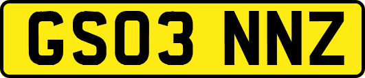 GS03NNZ