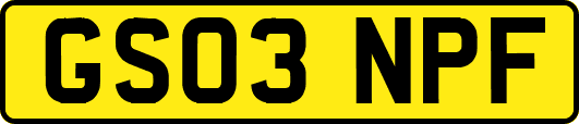 GS03NPF