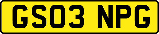 GS03NPG