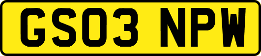 GS03NPW