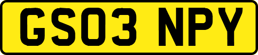 GS03NPY
