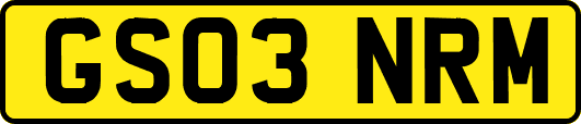 GS03NRM