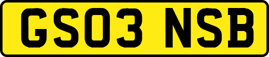 GS03NSB