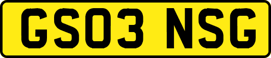 GS03NSG