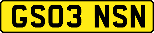 GS03NSN