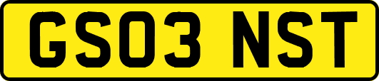 GS03NST