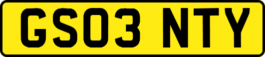 GS03NTY