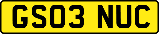 GS03NUC
