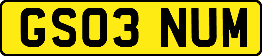 GS03NUM